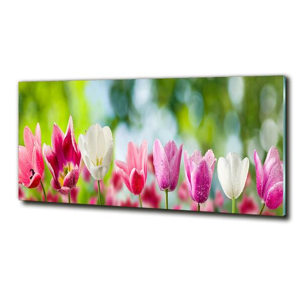 Quadro su vetro Tulipani
