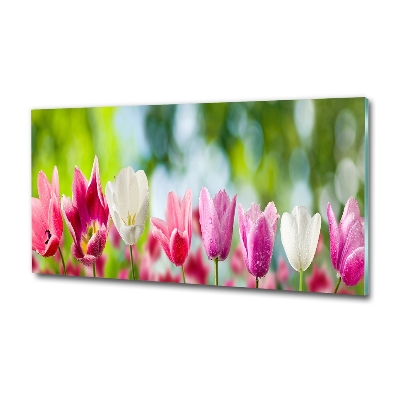Quadro su vetro Tulipani