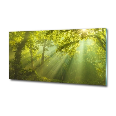 Quadro su vetro Foresta al sole