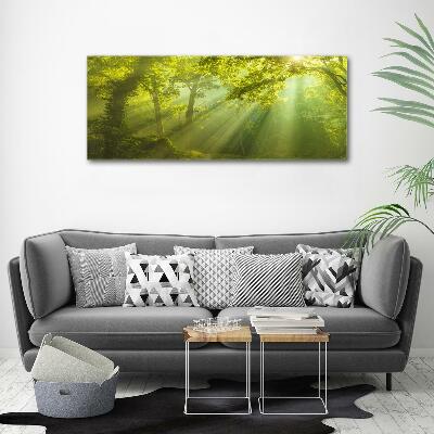 Quadro su vetro Foresta al sole