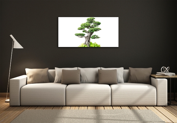 Quadro vetro Albero bonsai