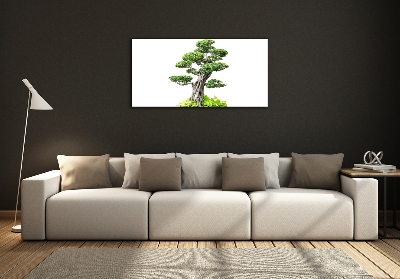 Quadro vetro Albero bonsai