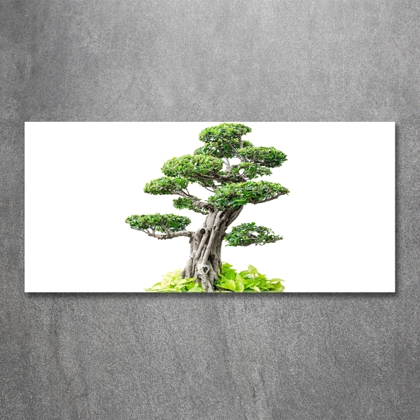 Quadro vetro Albero bonsai