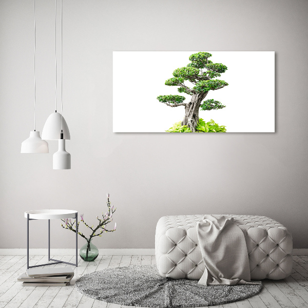 Quadro vetro Albero bonsai