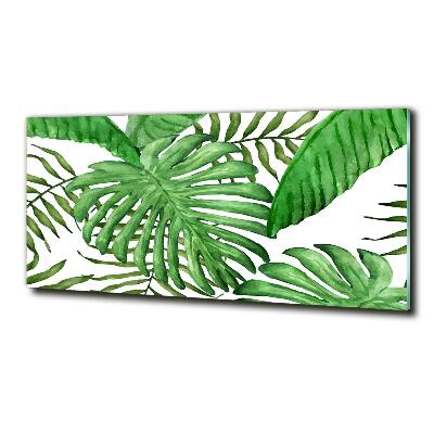 Quadro in vetro Foglie tropicali