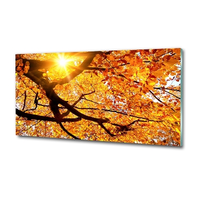 Quadro in vetro Chioma autunnale dell'albero