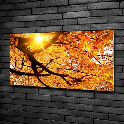 Quadro in vetro Chioma autunnale dell'albero