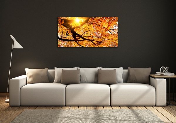 Quadro in vetro Chioma autunnale dell'albero