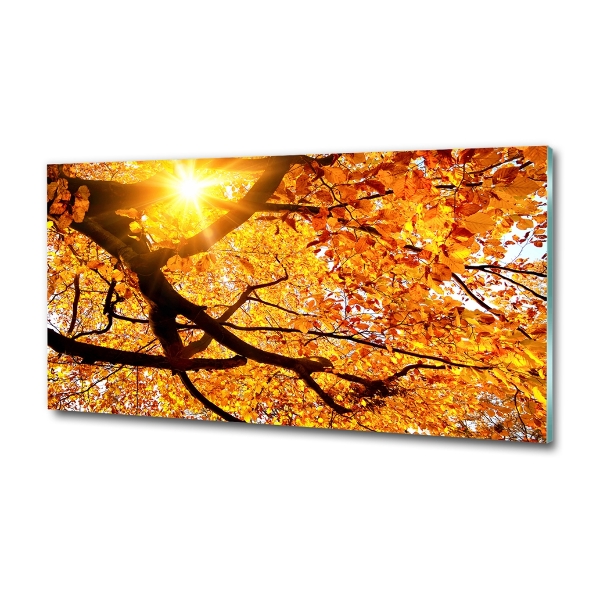 Quadro in vetro Chioma autunnale dell'albero