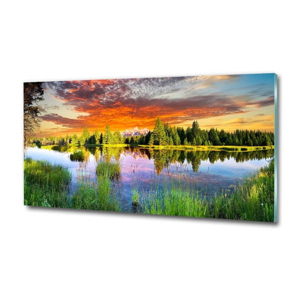 Quadro vetro Fiume nella foresta