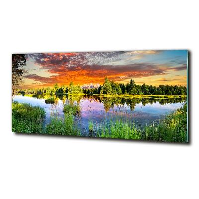 Quadro vetro Fiume nella foresta