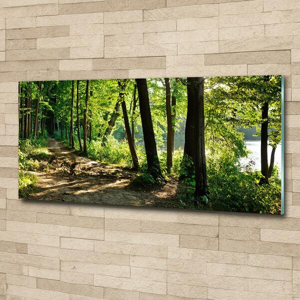 Quadro in verde Sentiero nel prato