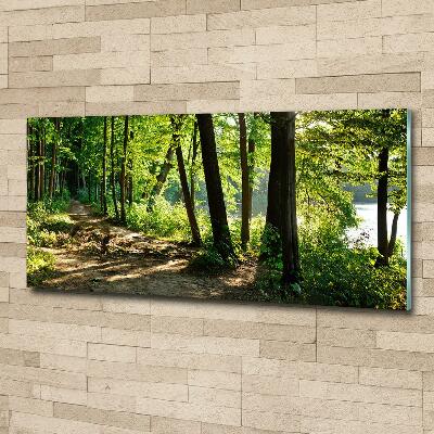 Quadro in verde Sentiero nel prato