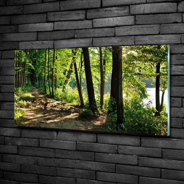 Quadro in verde Sentiero nel prato