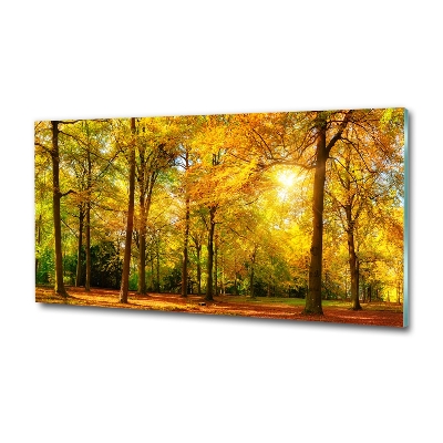 Quadro su vetro Foresta in autunno