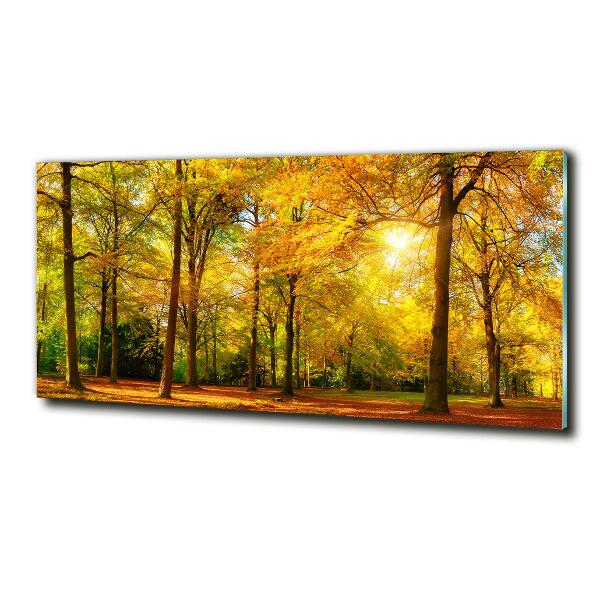 Quadro su vetro Foresta in autunno