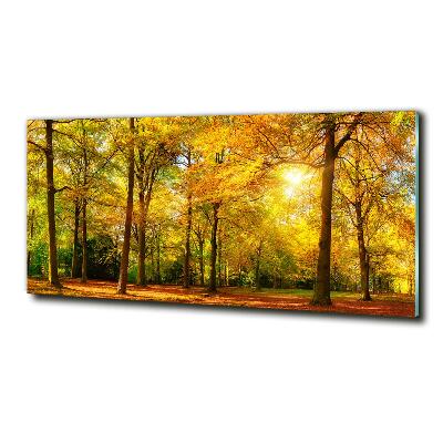Quadro su vetro Foresta in autunno