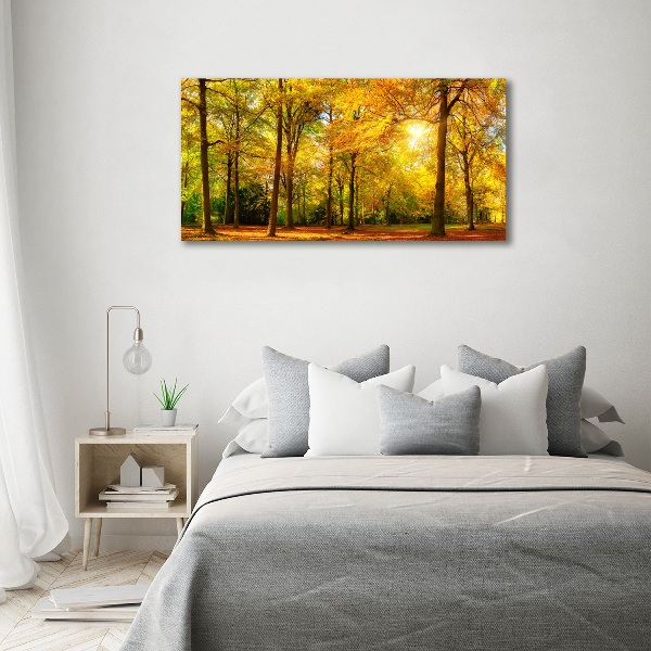 Quadro su vetro Foresta in autunno