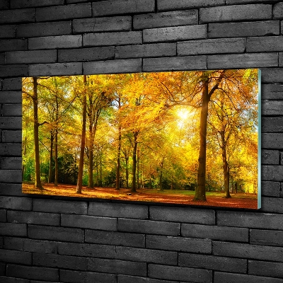 Quadro su vetro Foresta in autunno