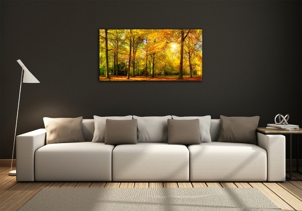 Quadro su vetro Foresta in autunno