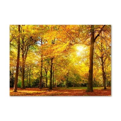 Quadro su vetro Foresta in autunno