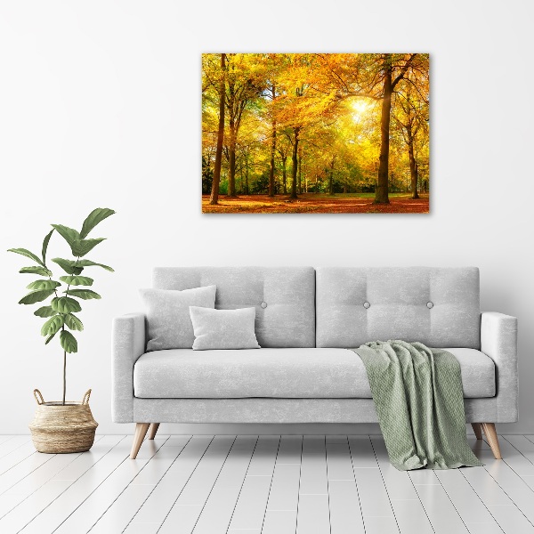 Quadro su vetro Foresta in autunno