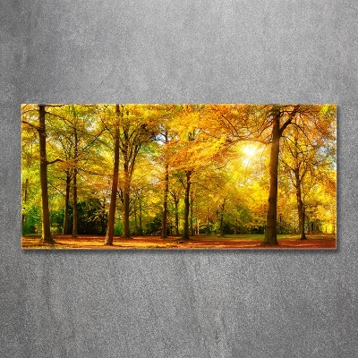 Quadro su vetro Foresta in autunno