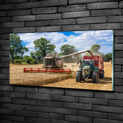 Quadro su vetro Mietitrice e trattore