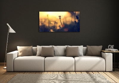 Quadro su vetro Dente di leone