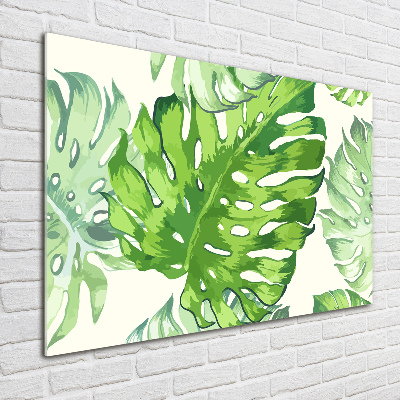 Quadro vetro Foglie tropicali