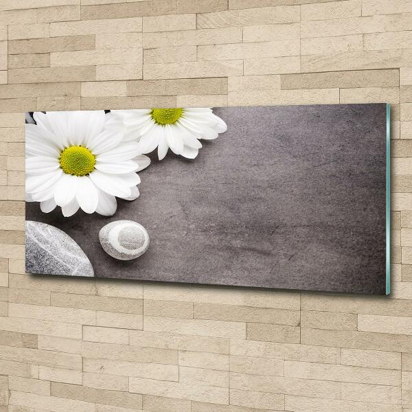 Quadro su vetro Gerbera