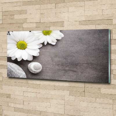 Quadro su vetro Gerbera