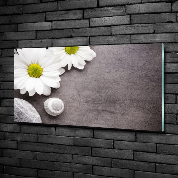 Quadro su vetro Gerbera
