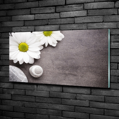 Quadro su vetro Gerbera