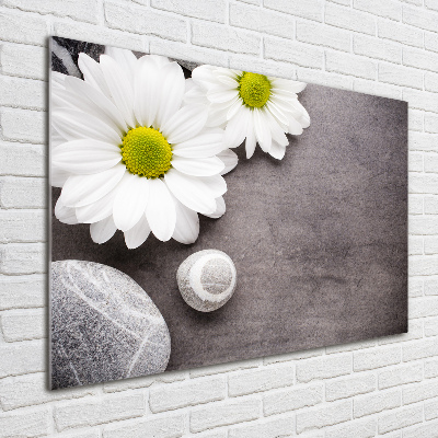 Quadro su vetro Gerbera