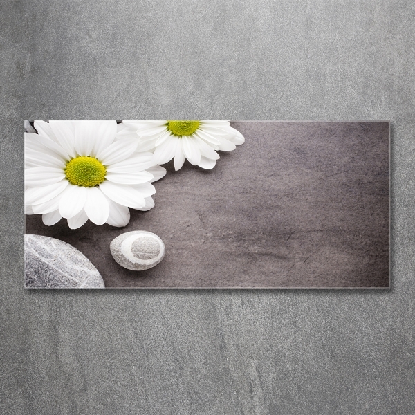 Quadro su vetro Gerbera