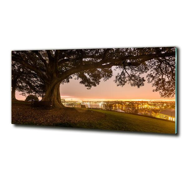 Quadro su vetro Vecchio albero