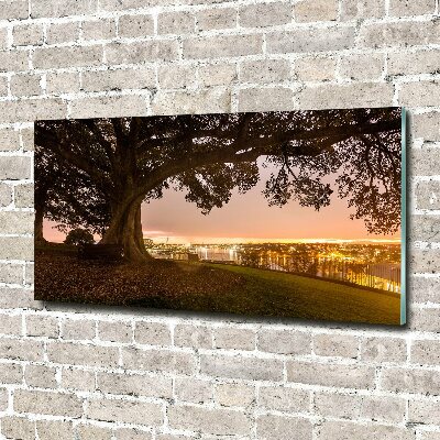 Quadro su vetro Vecchio albero