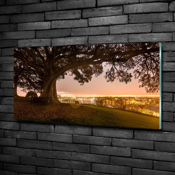 Quadro su vetro Vecchio albero