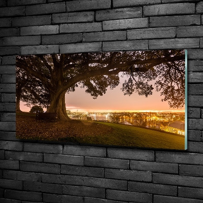 Quadro su vetro Vecchio albero