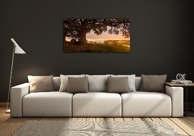 Quadro su vetro Vecchio albero