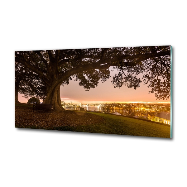 Quadro su vetro Vecchio albero