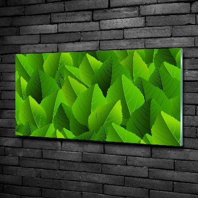 Quadro vetro Foglie verdi