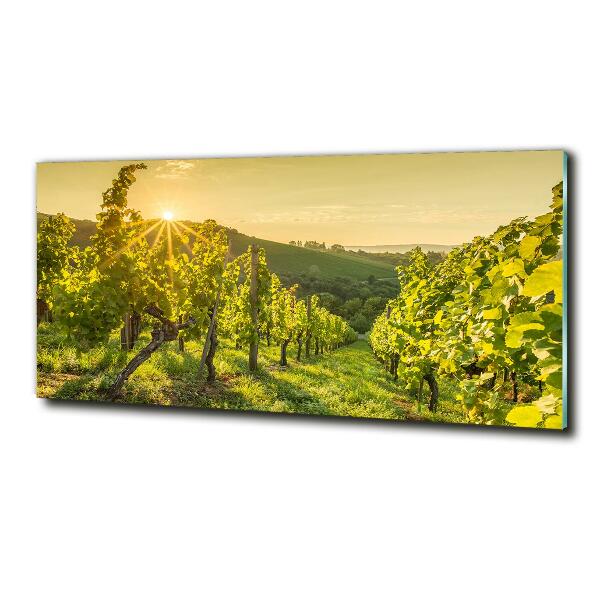 Quadro su vetro Vigneto