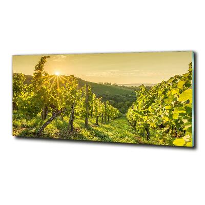 Quadro su vetro Vigneto