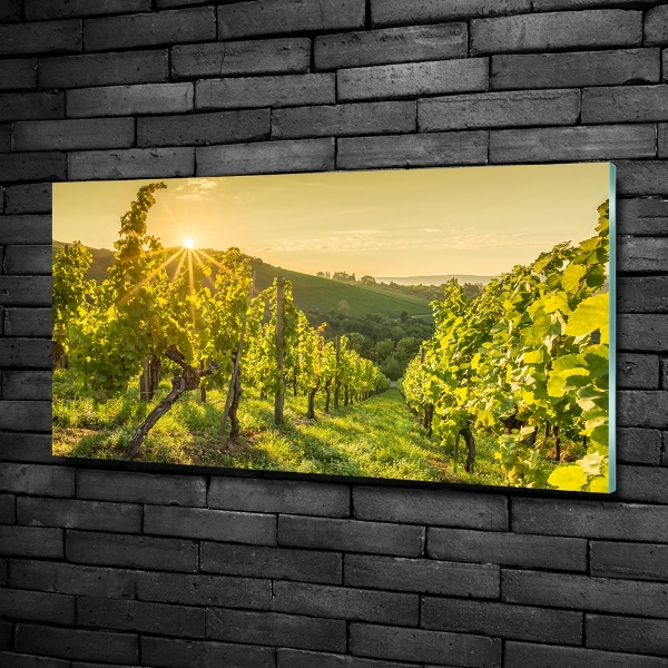 Quadro su vetro Vigneto