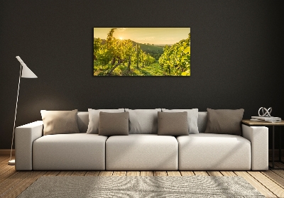 Quadro su vetro Vigneto