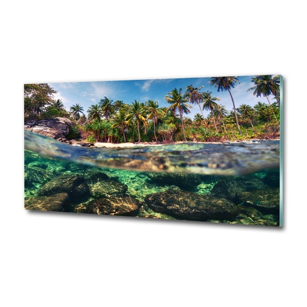 Quadro vetro Spiaggia tropicale