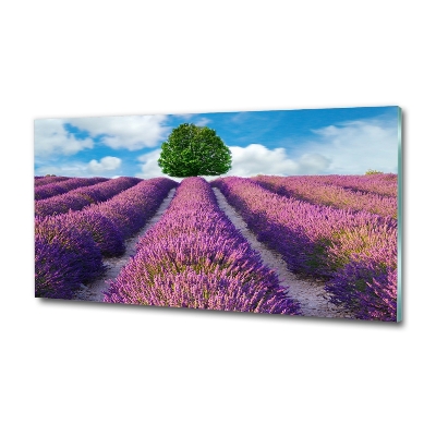 Quadro su vetro Campo di lavanda