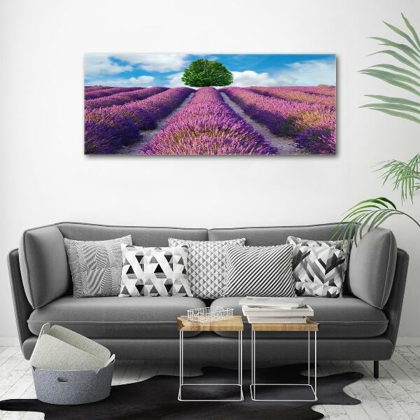Quadro su vetro Campo di lavanda